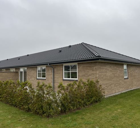 img_3248-3 img_3248-3